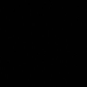 Meet your Posher, Mackenzie